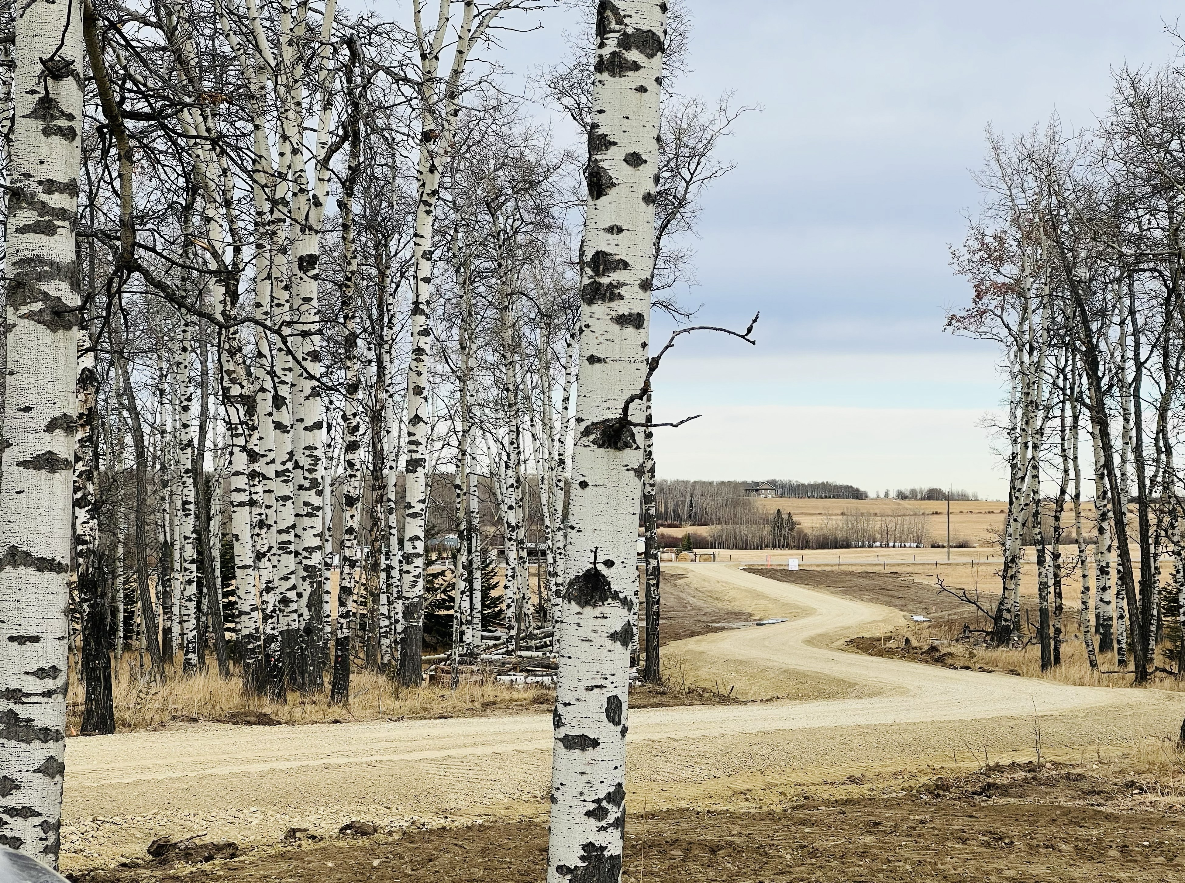 Mountainview County Farm